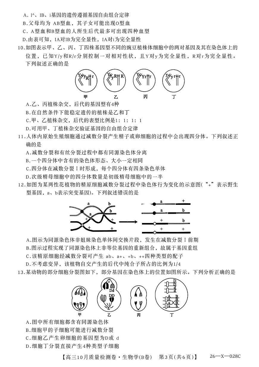 山西三晋卓越联盟2025-2026高三10月质量检测（26-X-028C）生物(B)（不含答案）第3页