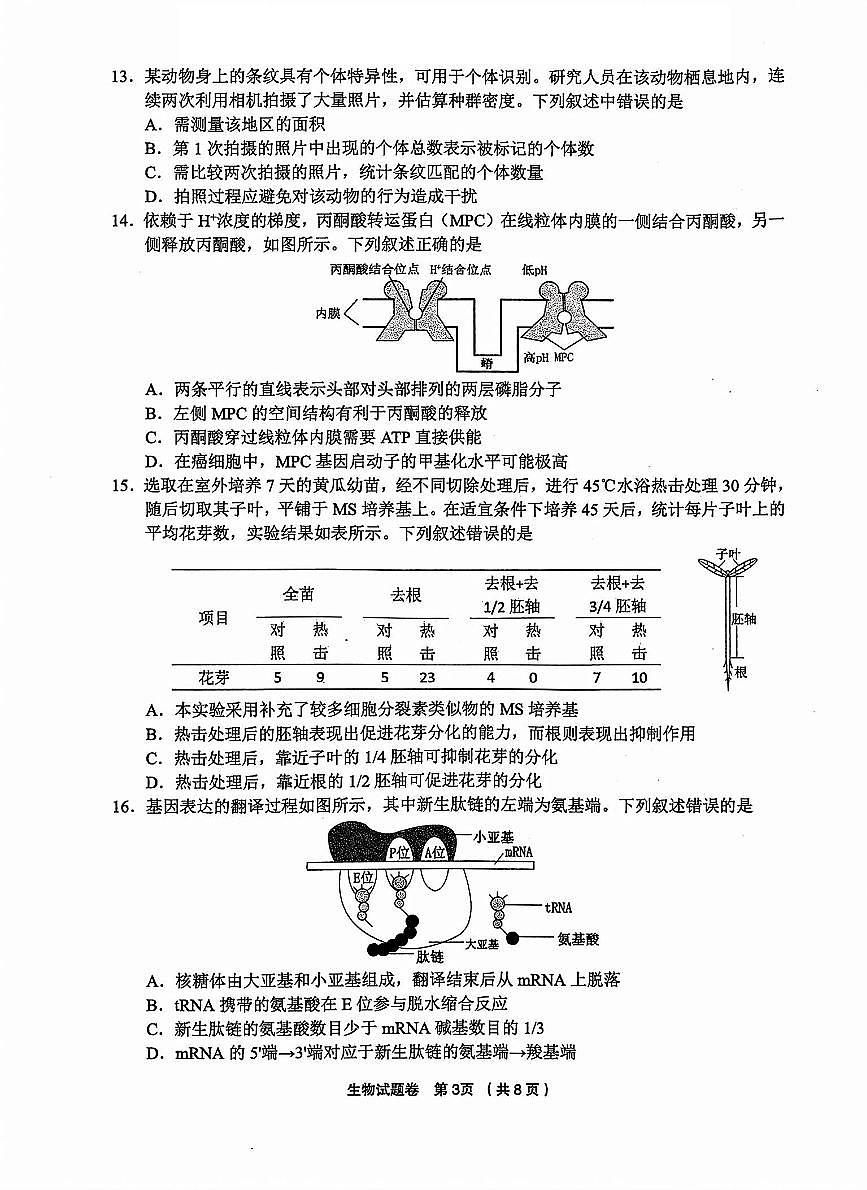 生物试题第3页