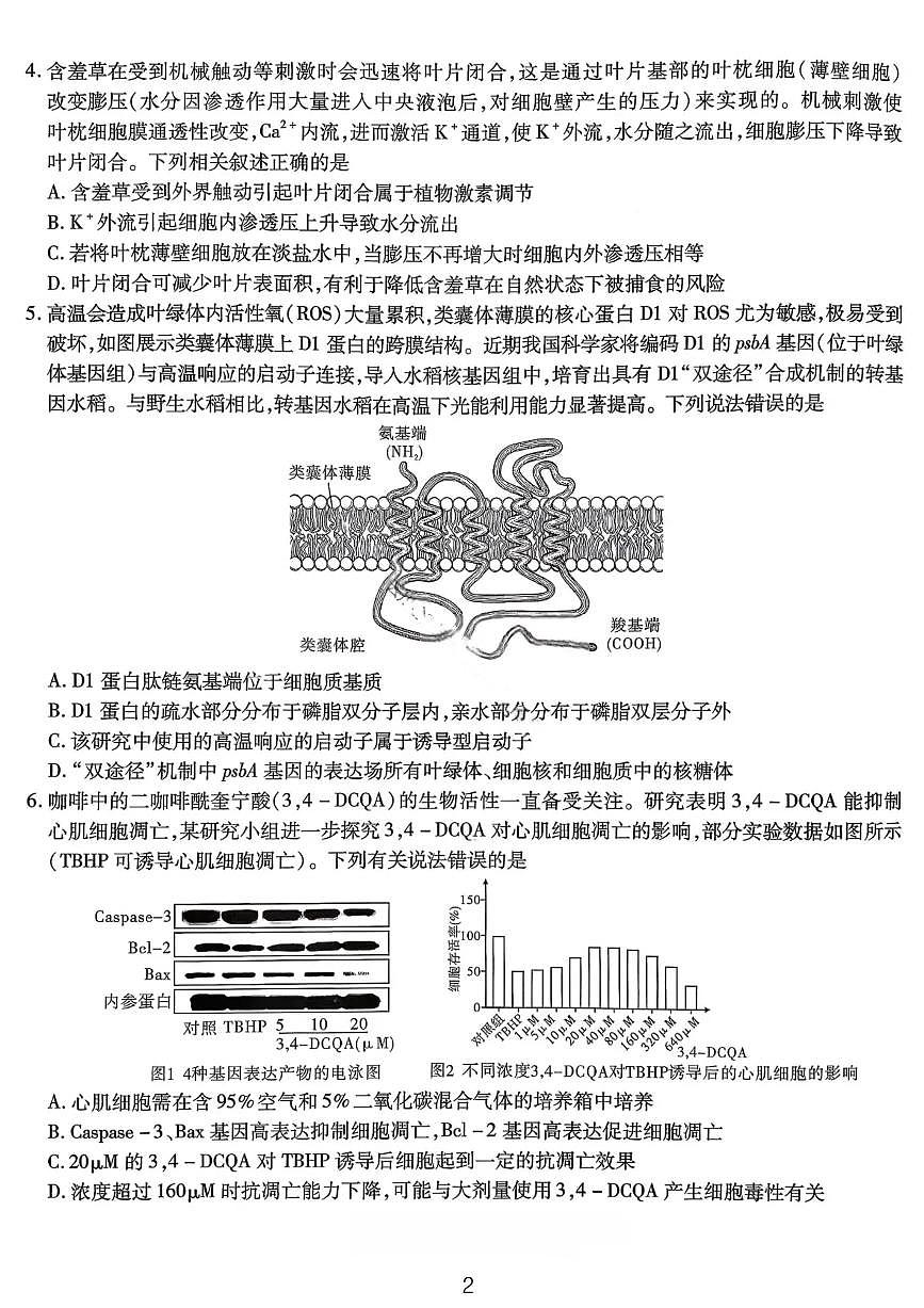 生物试卷-重庆市南开中学高2026届高三第四次质量检测第2页
