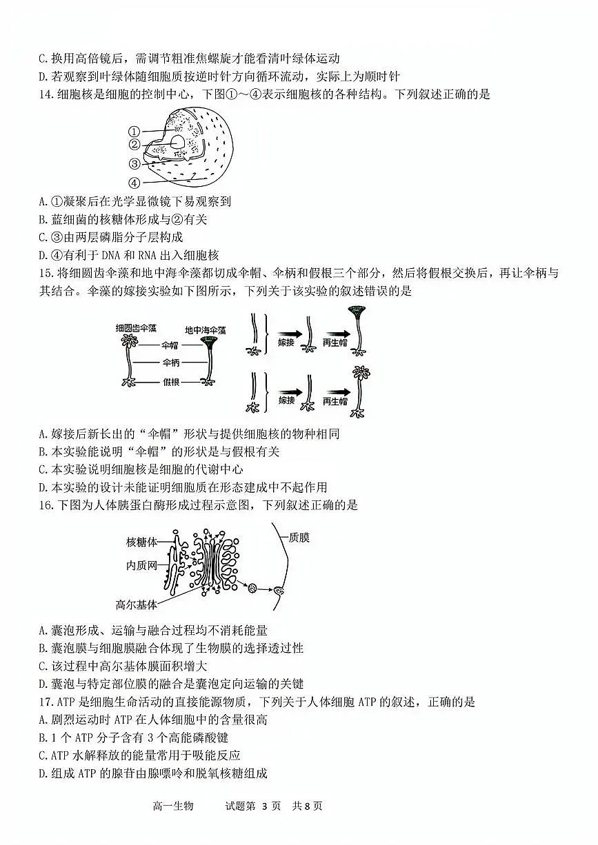 生物试题第3页
