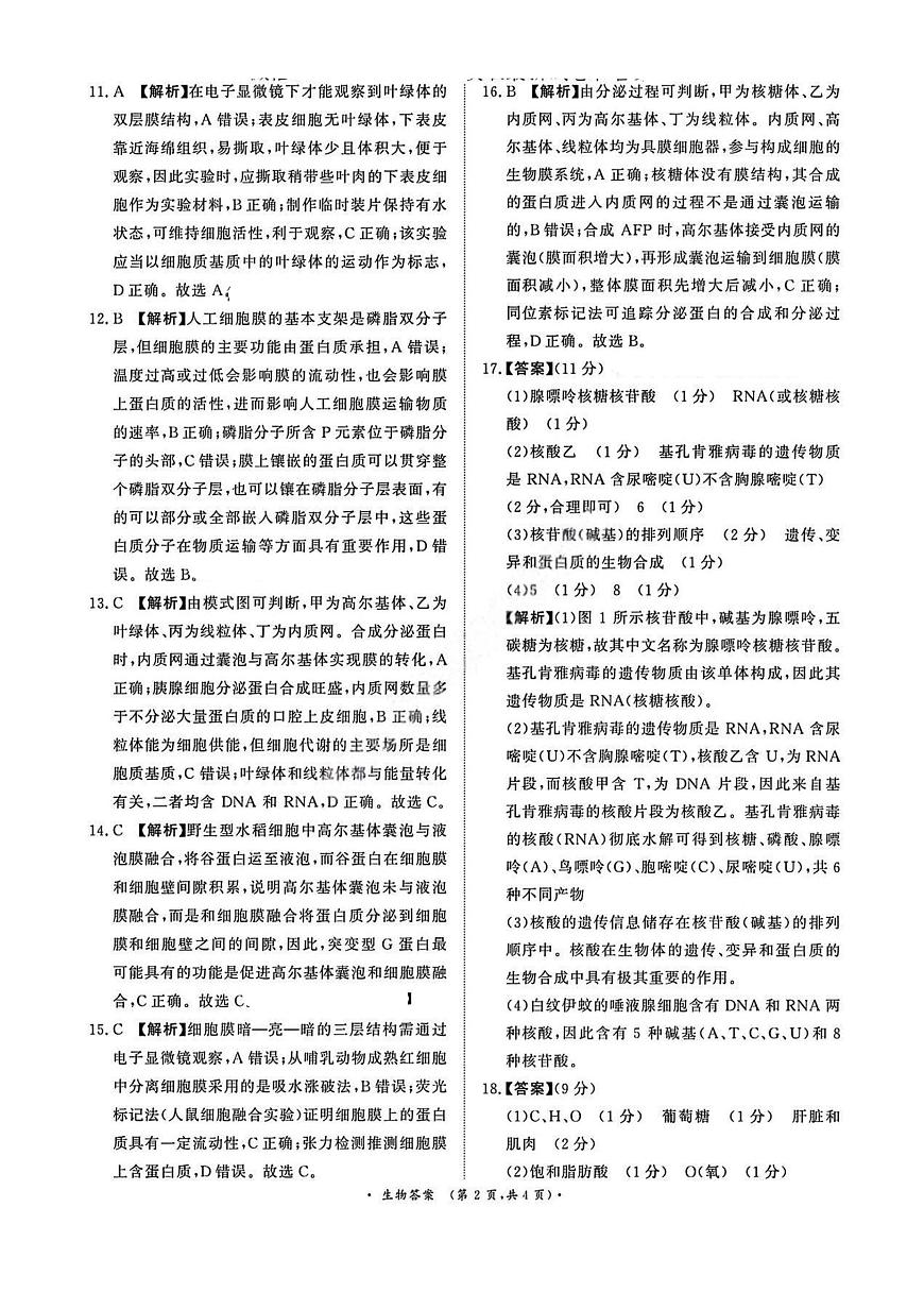 生物答案第2页