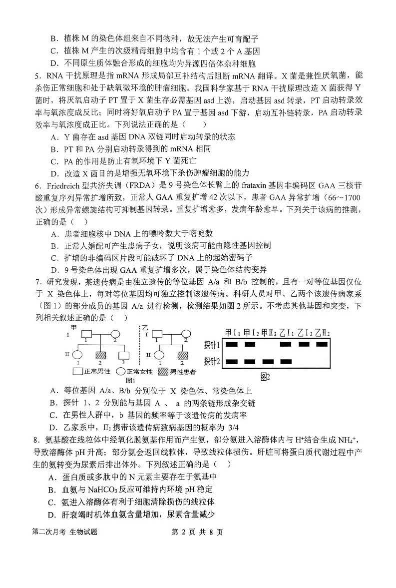 河南省南阳市第一中学2025-2026学年高三上学期12月考试生物试卷第2页