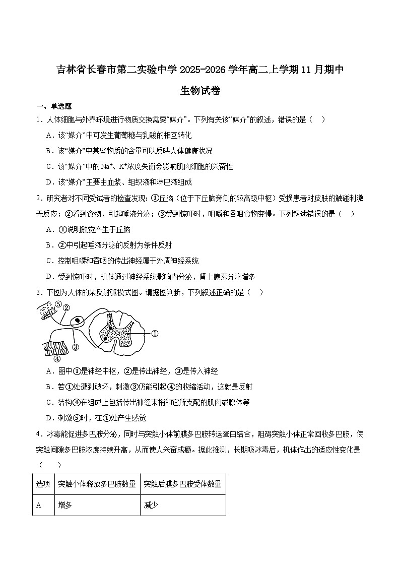 吉林省长春市第二实验中学2025-2026学年高二上学期11月期中考试生物试卷（Word版附答案）第1页
