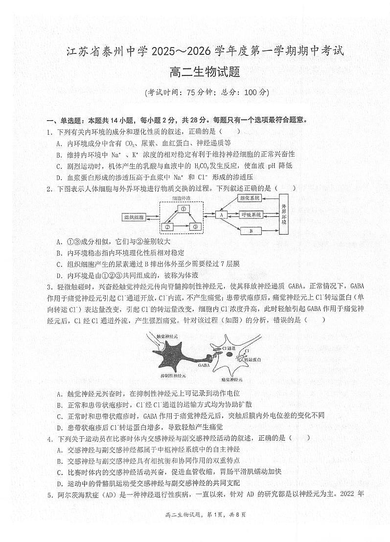 江苏省泰州中学2025-2026学年高二上学期11月期中考试生物试卷（PDF版附答案）第1页