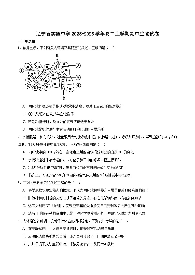 辽宁省实验中学2025-2026学年高二上学期期中阶段测试生物试卷（Word版附答案）第1页