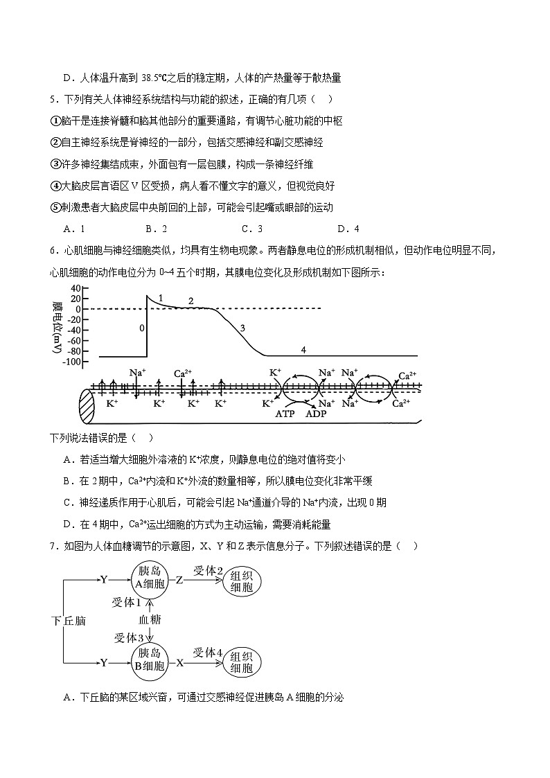 辽宁省实验中学2025-2026学年高二上学期期中阶段测试生物试卷（Word版附答案）第2页