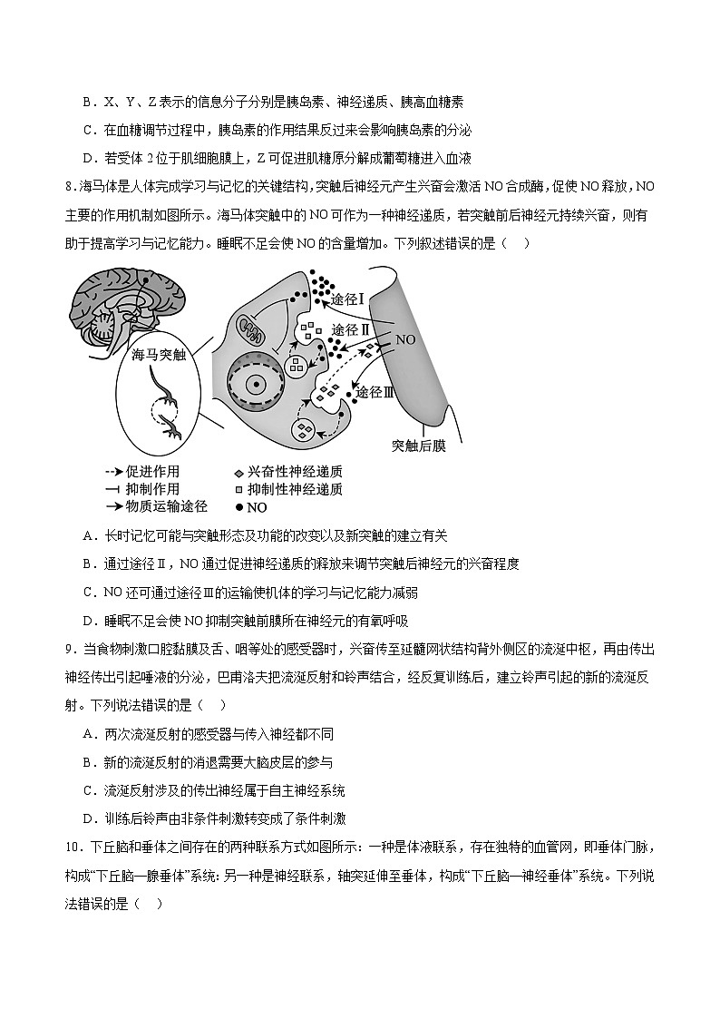 辽宁省实验中学2025-2026学年高二上学期期中阶段测试生物试卷（Word版附答案）第3页