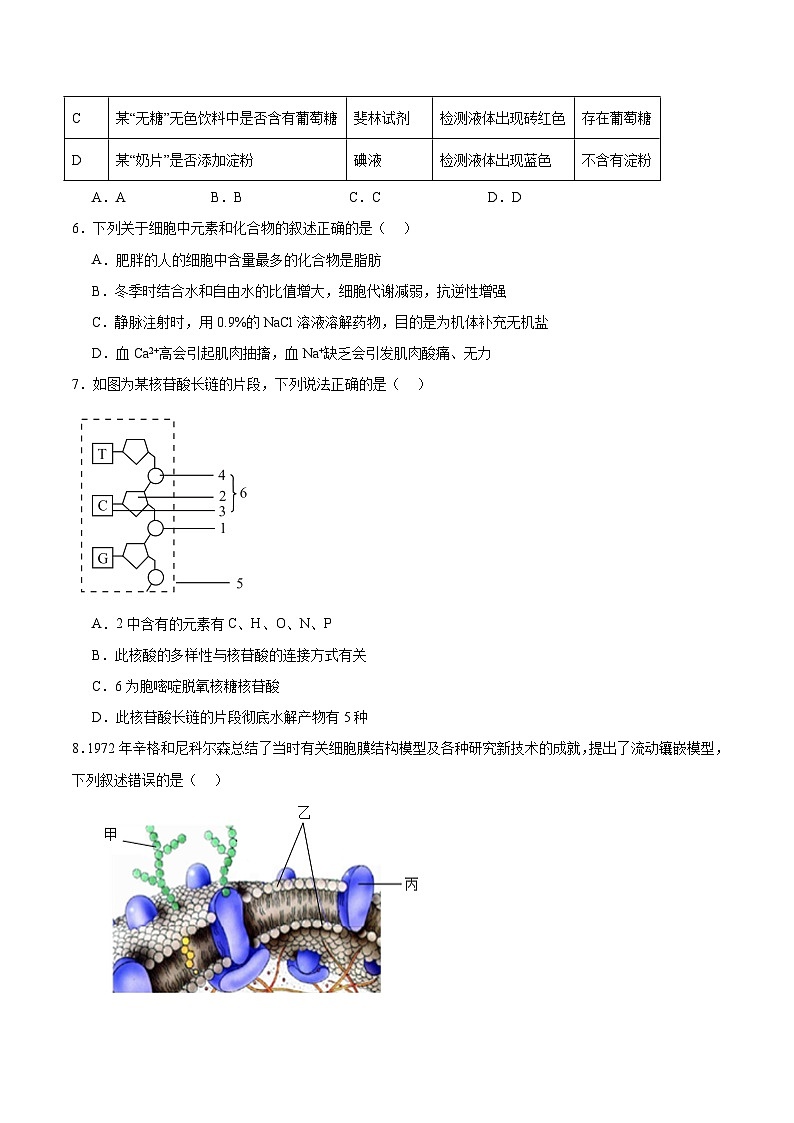 辽宁省实验中学2025-2026学年高一上学期期中阶段测试生物试卷（Word版附答案）第2页