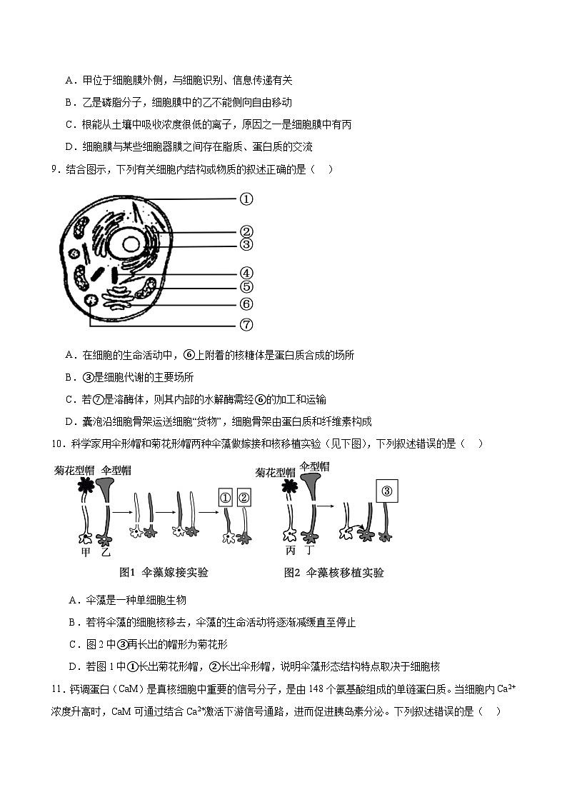 辽宁省实验中学2025-2026学年高一上学期期中阶段测试生物试卷（Word版附答案）第3页