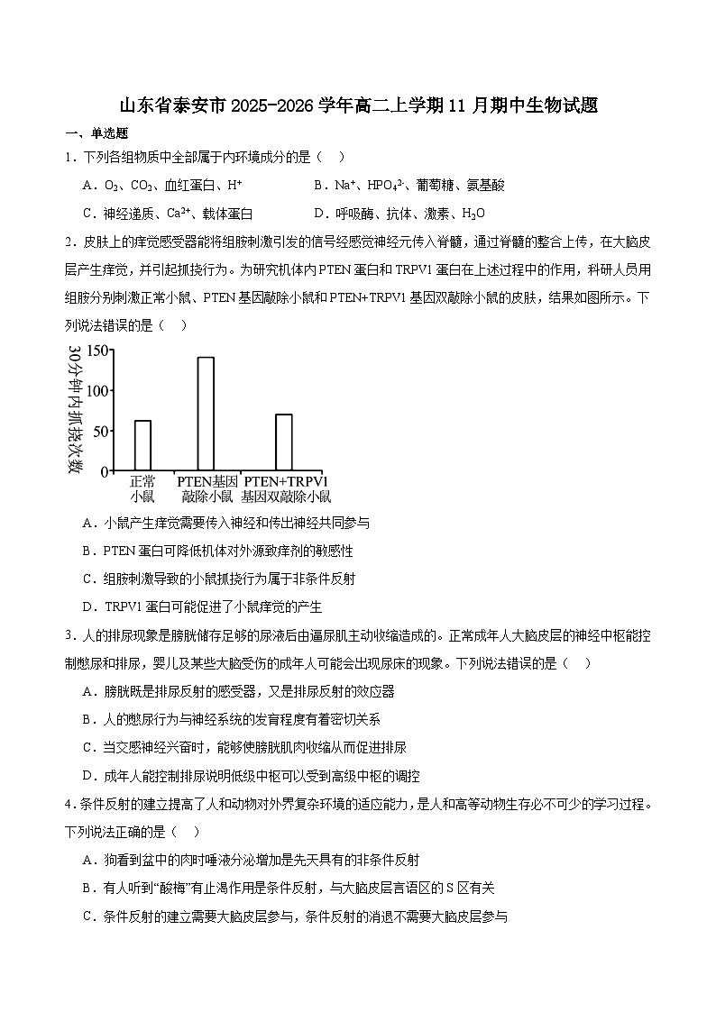 山东省泰安市2025-2026学年高二上学期期中考试生物试卷（Word版附答案）第1页