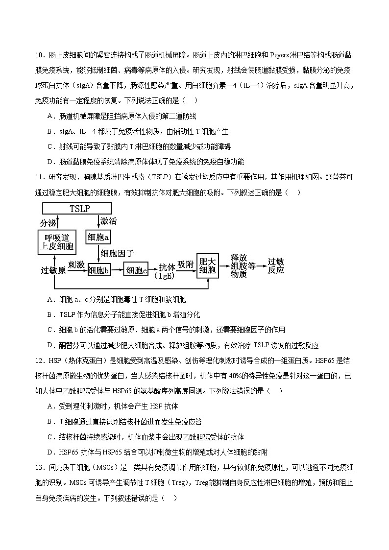 山东省泰安市2025-2026学年高二上学期期中考试生物试卷（Word版附答案）第3页