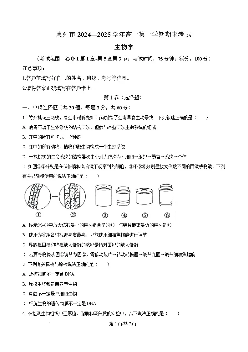 广东省惠州市2024-2025学年高一上学期期末质量检测生物试卷含答案第1页