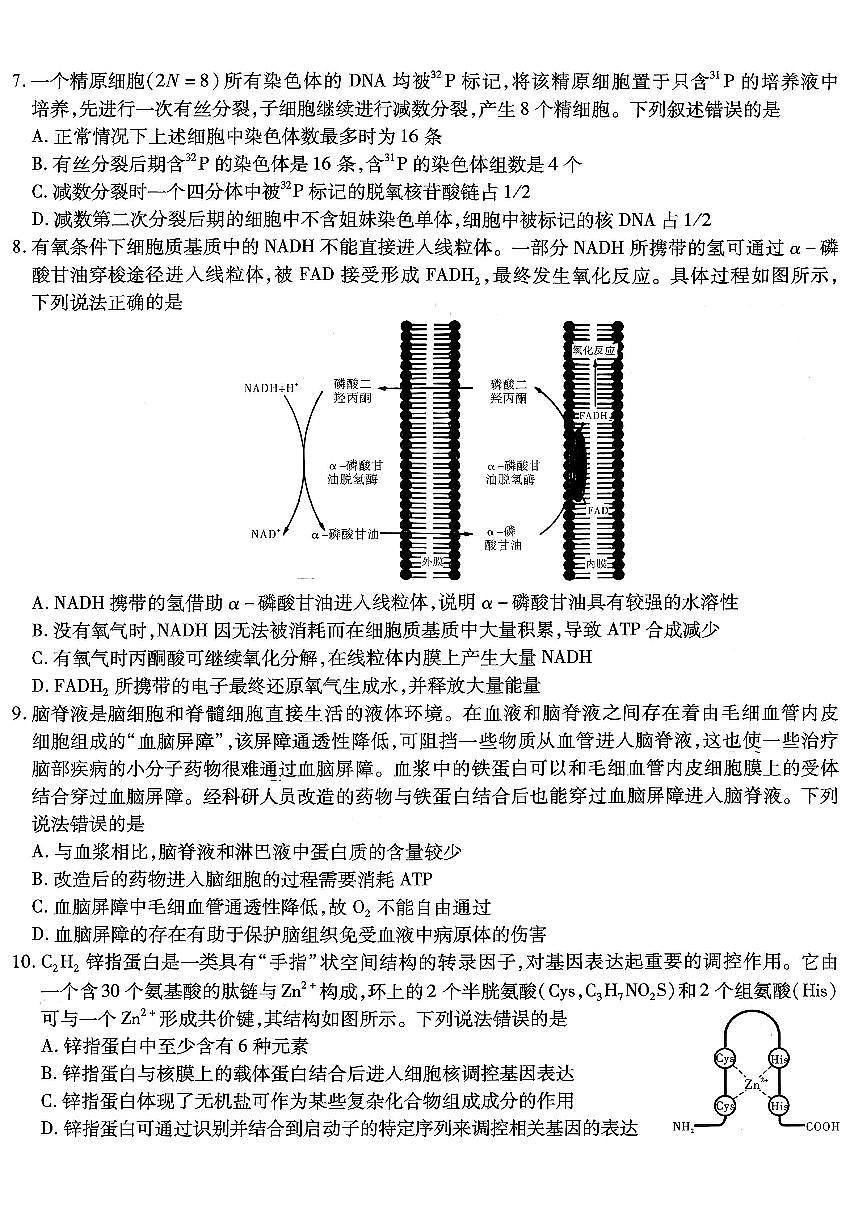 南开中学高2026届高三上学期12月第四次质量检测生物试卷+答案第3页