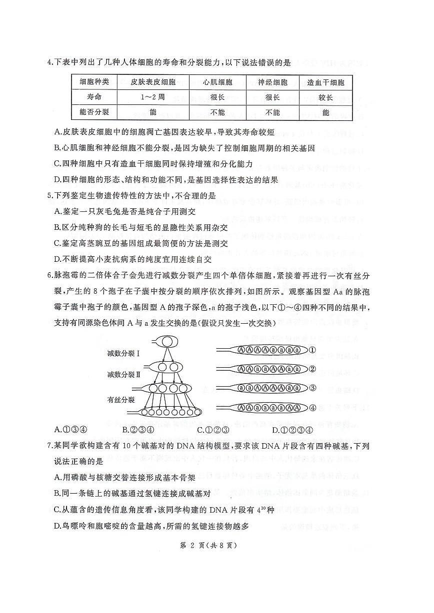 生物-河北省邢台市卓越联盟2025-2026学年高三上学期12月联考试卷及答案第2页