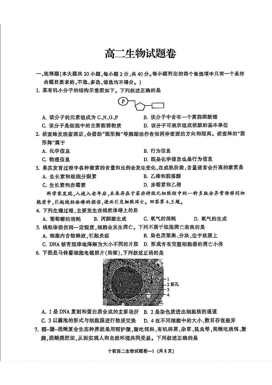 浙江省金华市部分重点高中2024-2025学年高二上学期期末调研考试生物试卷（含答案）第1页