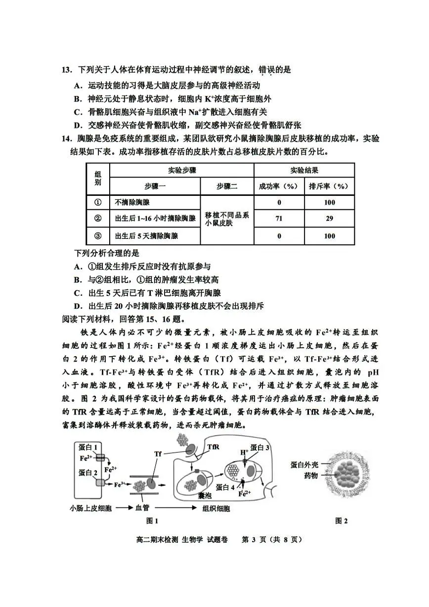 浙江省嘉兴市2024-2025学年高二上学期期末测试生物试卷（含答案）第3页