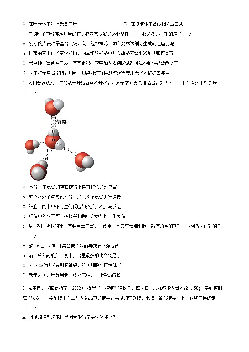河南省多校联考2025-2026学年高一上学期11月期中生物试题（原卷版）第2页