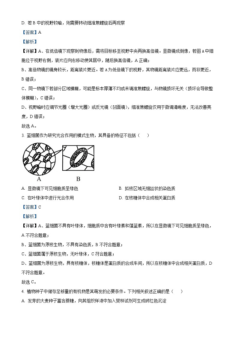 河南省多校联考2025-2026学年高一上学期11月期中生物试题 Word版含解析第2页