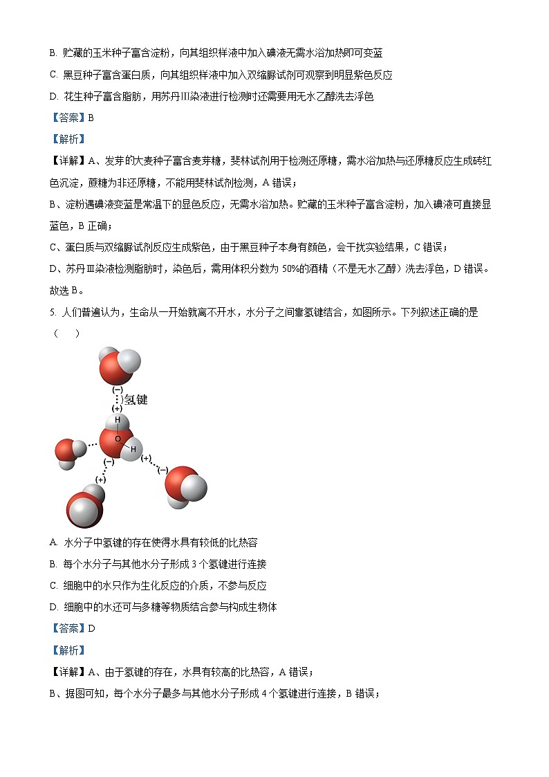 河南省多校联考2025-2026学年高一上学期11月期中生物试题 Word版含解析第3页