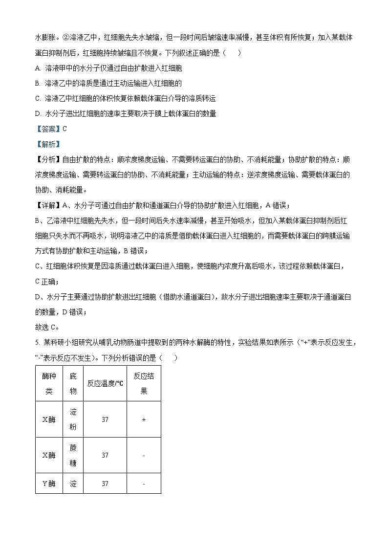 河南省焦作市2026届高三上学期11月期中生物试题 Word版含解析第3页