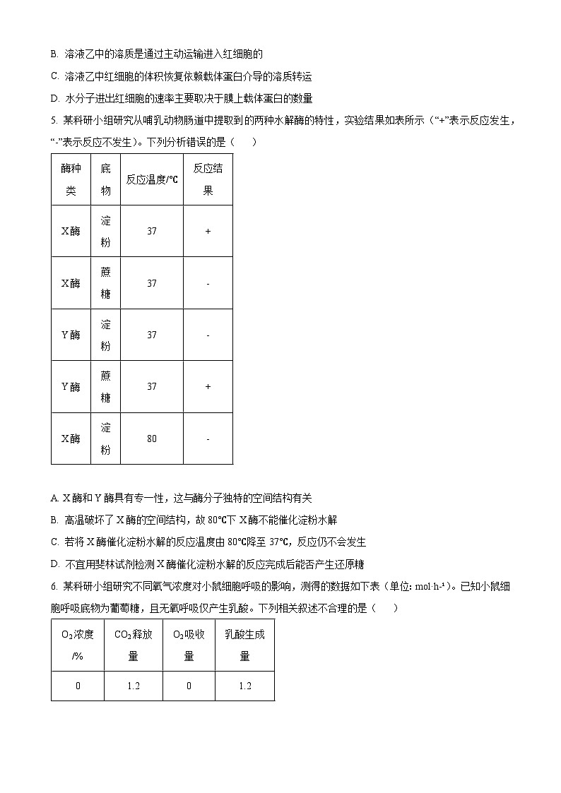 河南省焦作市2026届高三上学期11月期中生物试题（原卷版）第2页