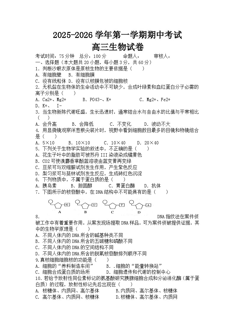 河南省新乡市红旗区部分学校试2026届高三上学期11月月考生物试题第1页