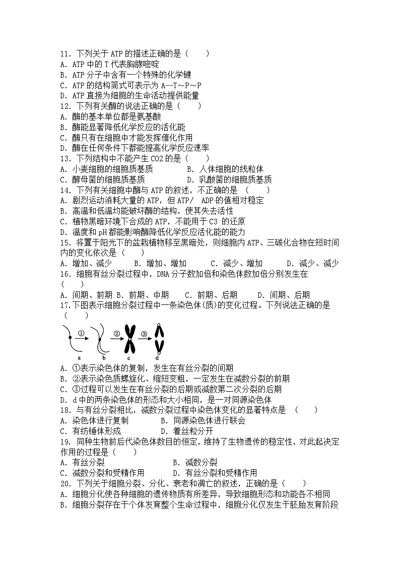 河南省新乡市红旗区部分学校试2026届高三上学期11月月考生物试题第2页