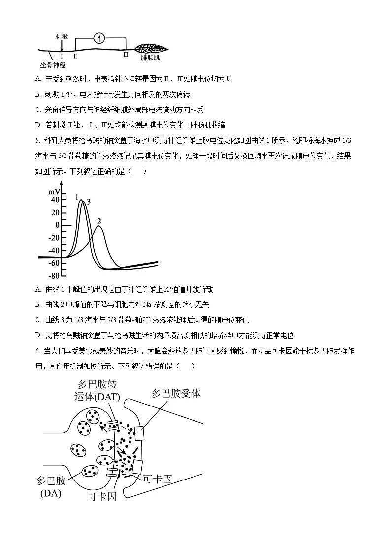 河南省郑州市“八校联盟”2025-2026学年高二上学期11月期中生物试题（原卷版）第2页