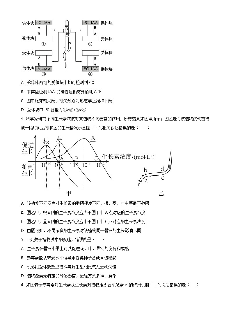 河南省郑州外国语学校2025—2026学年高二上学期期中考试生物试题（原卷版）第2页