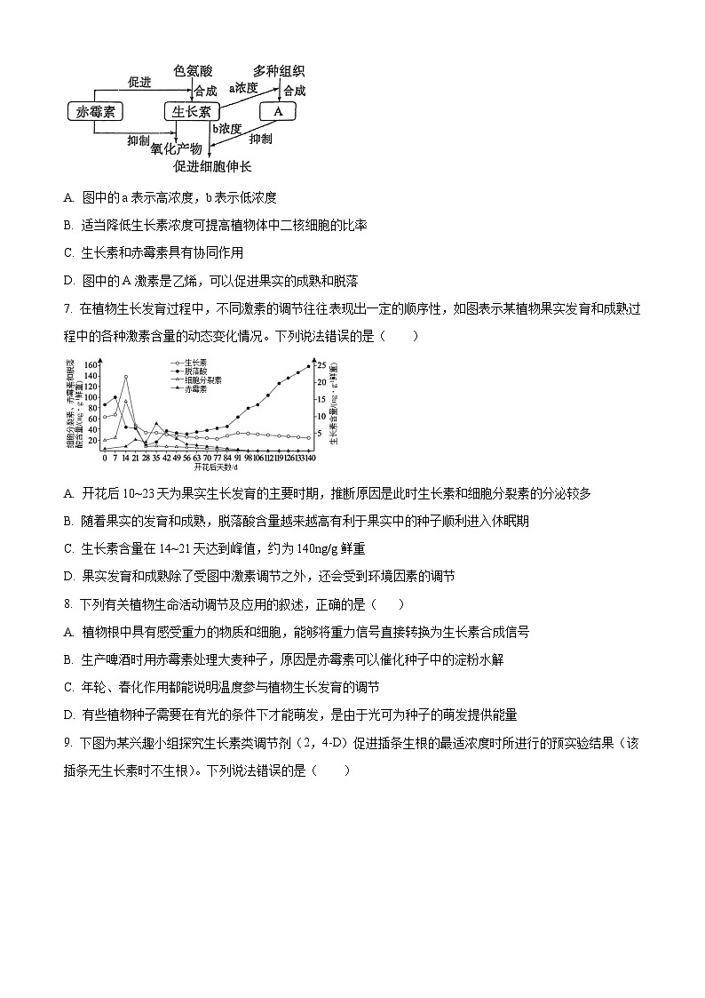 河南省郑州外国语学校2025—2026学年高二上学期期中考试生物试题（原卷版）第3页