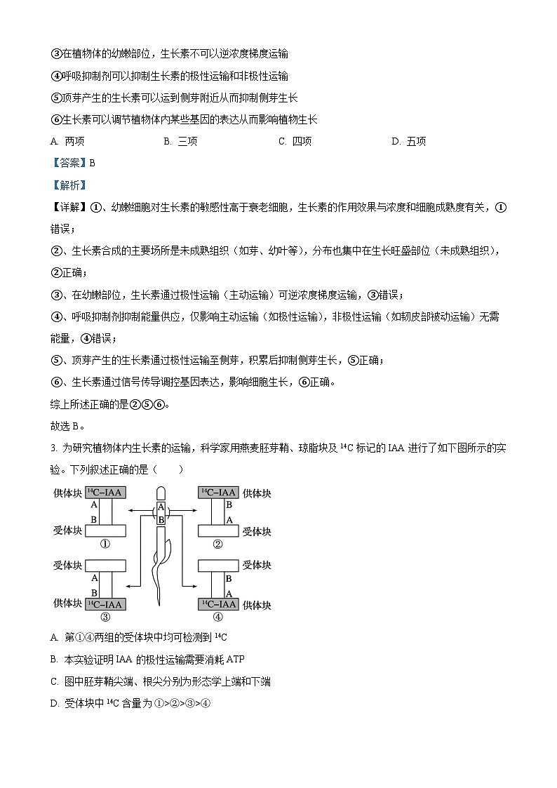 河南省郑州外国语学校2025—2026学年高二上学期期中考试生物试题 Word版含解析第2页