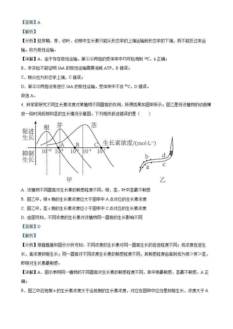 河南省郑州外国语学校2025—2026学年高二上学期期中考试生物试题 Word版含解析第3页