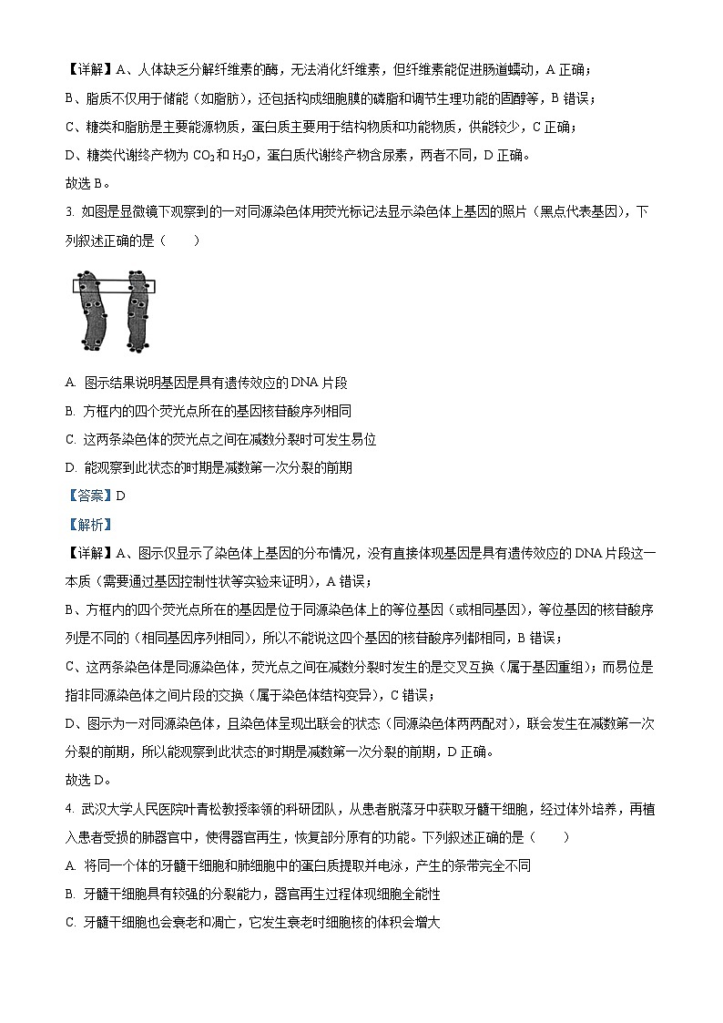 浙江省9+1高中联盟2026届高三上学期期中考试生物试题 Word版含解析第2页