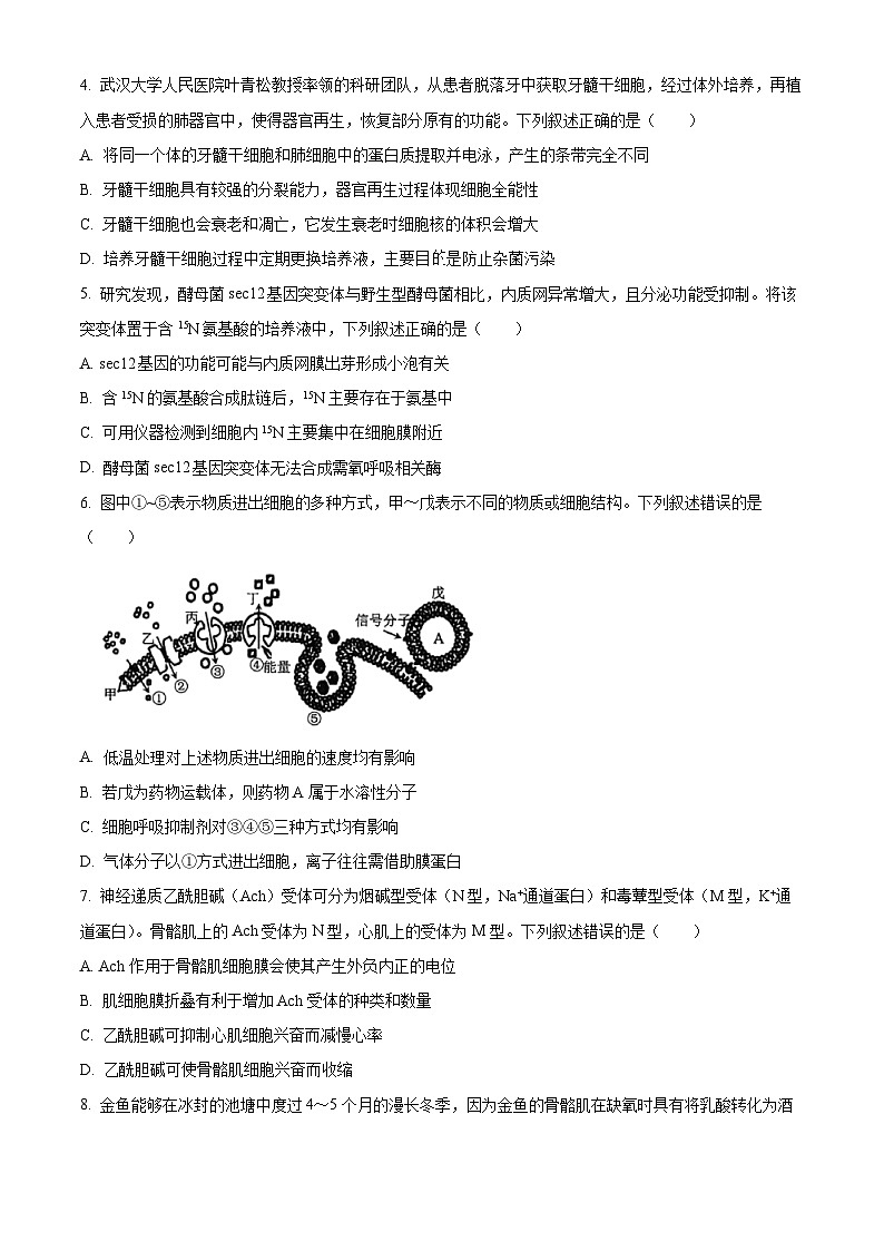 浙江省9+1高中联盟2026届高三上学期期中考试生物试题（原卷版）第2页