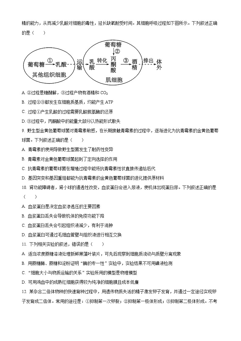 浙江省9+1高中联盟2026届高三上学期期中考试生物试题（原卷版）第3页