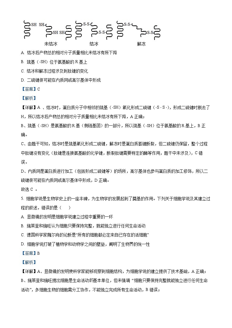 浙江省浙江大学附属中学2025-2026学年高一上学期11月期中生物试题 Word版含解析第3页