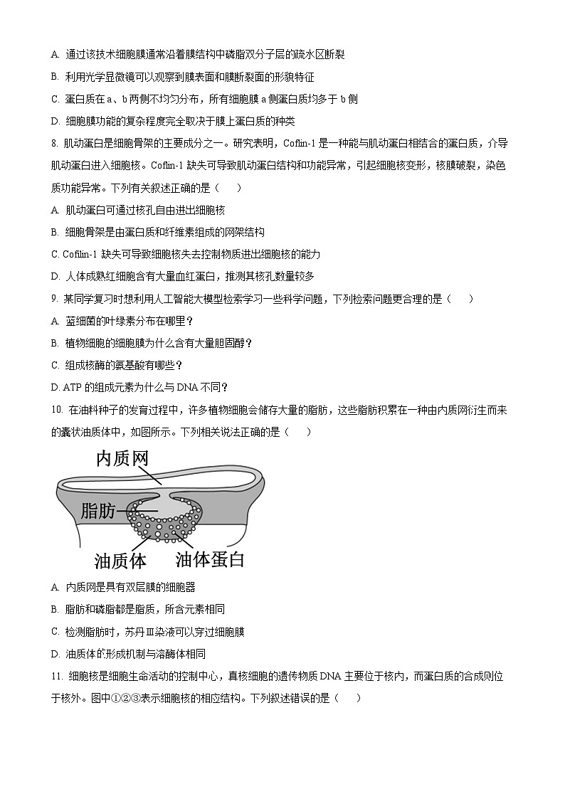 浙江省浙江大学附属中学2025-2026学年高一上学期11月期中生物试题（原卷版）第3页