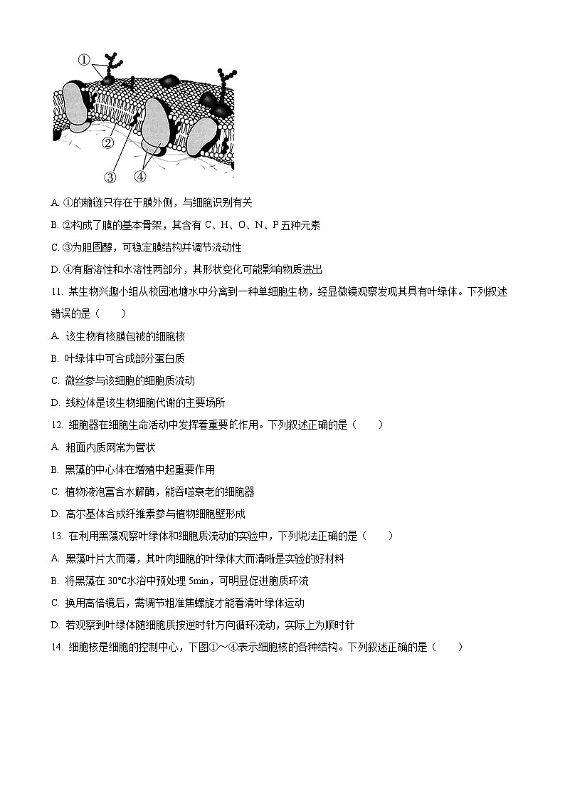 浙江省台金七校2025-2026学年高一上学期11月期中生物试题（原卷版）第3页