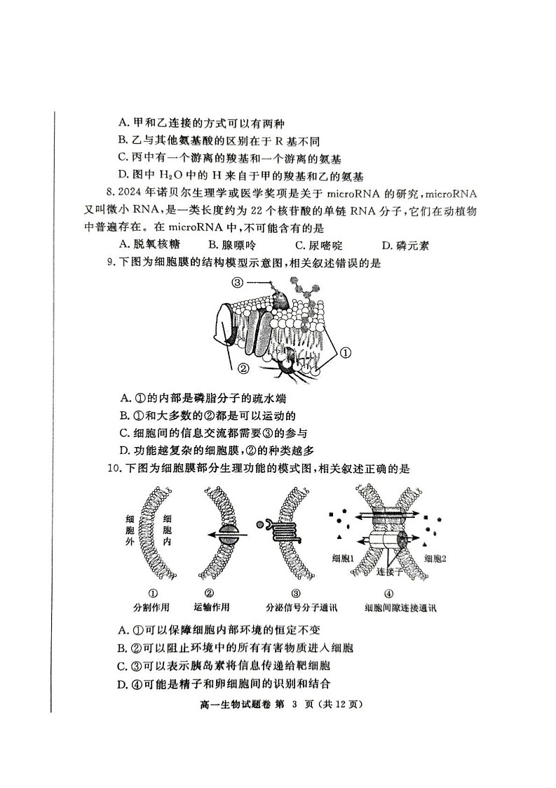河南省郑州市2024-2025学年高一上学期1月期末生物试题第3页