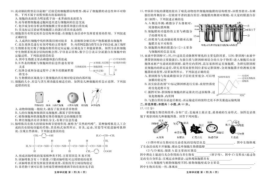 高一生物正文（2025-2026学年度11月份联考）第2页