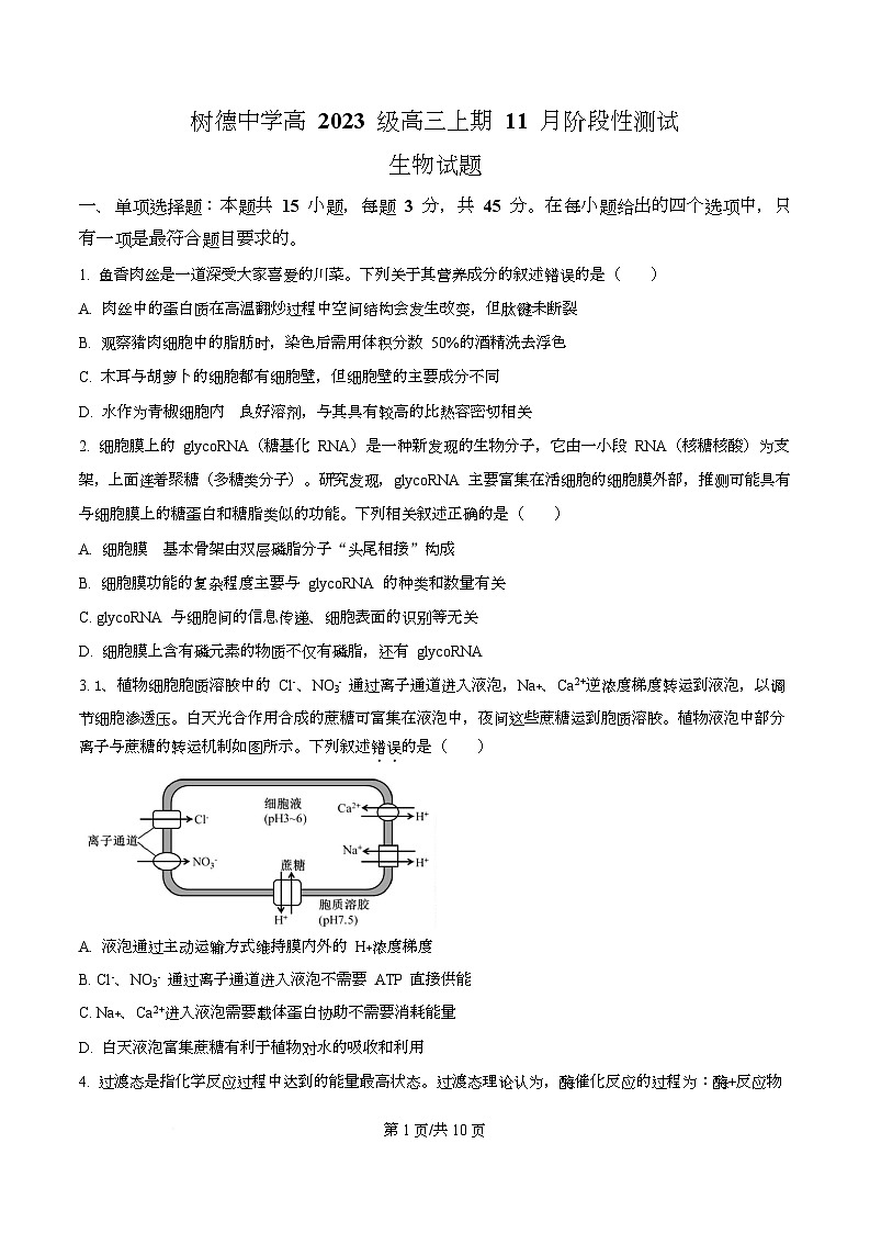 四川省成都市树德中学2026届高三上学期期中考试生物试题（原卷版）第1页