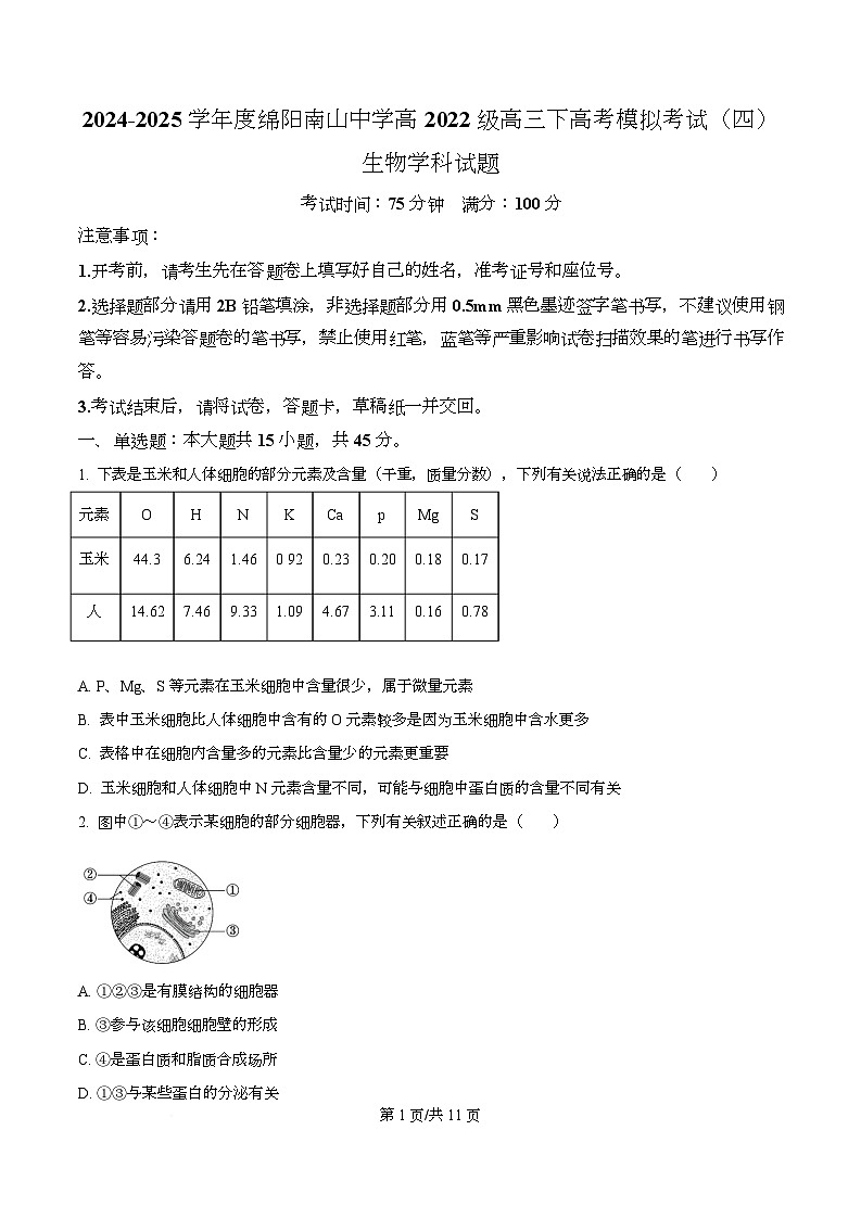 四川省绵阳南山中学2024-2025学年高三下学期高考模拟考试（四）生物试卷（原卷版）第1页