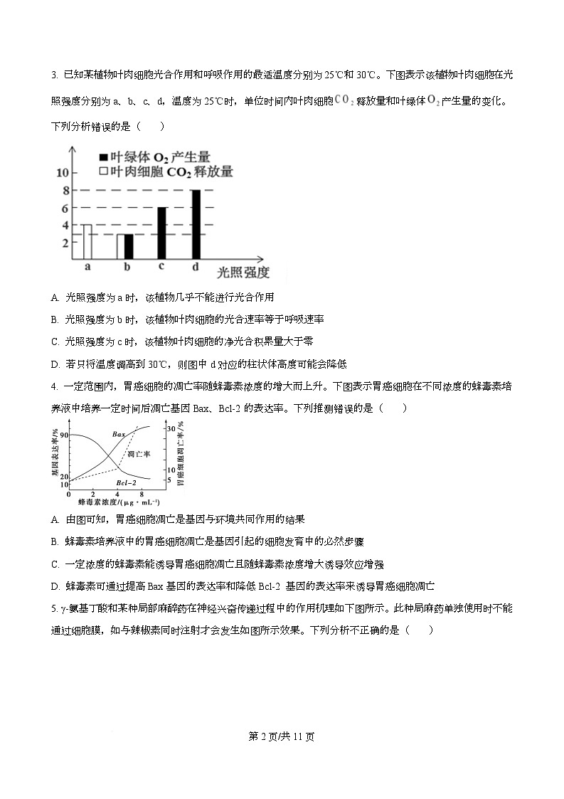 四川省绵阳南山中学2024-2025学年高三下学期高考模拟考试（四）生物试卷（原卷版）第2页