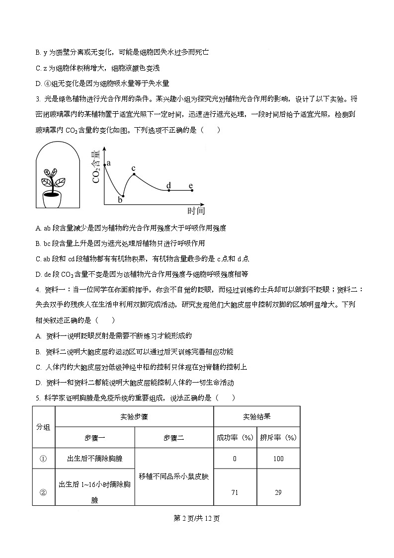 四川省绵阳市东辰学校2026届高三上学期期中考试生物试题（原卷版）第2页
