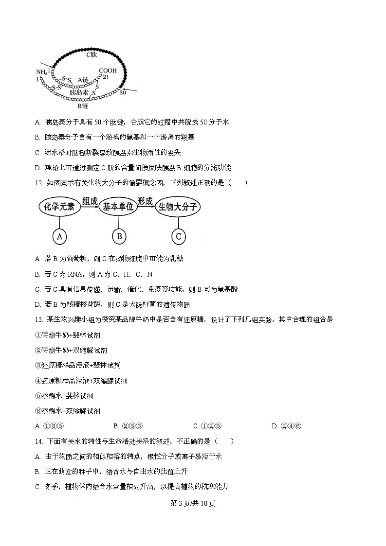 四川省南充市西充中学2025-2026学年高一上学期期中考试生物试题（原卷版）第3页