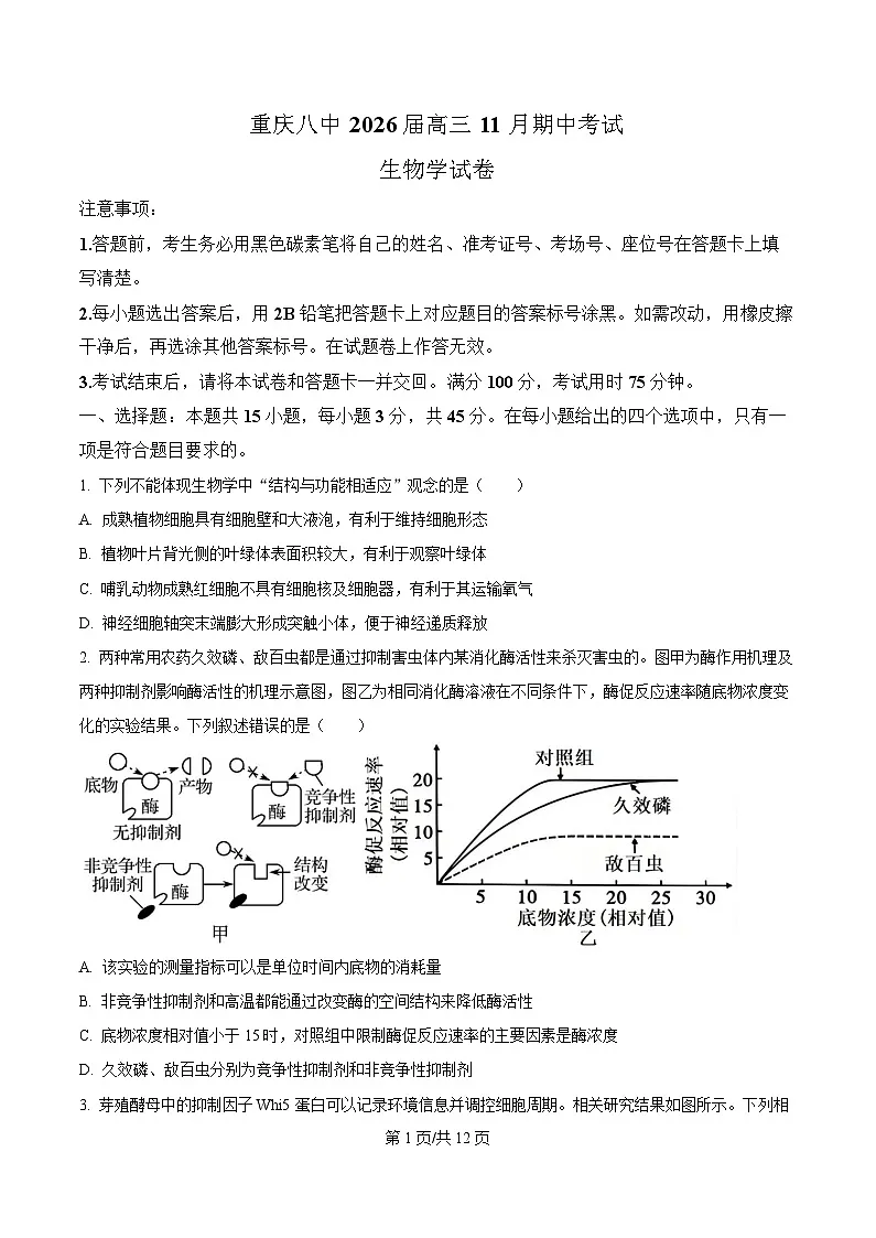 重庆市第八中学2026届高三上学期11月期中生物试题（原卷版）第1页