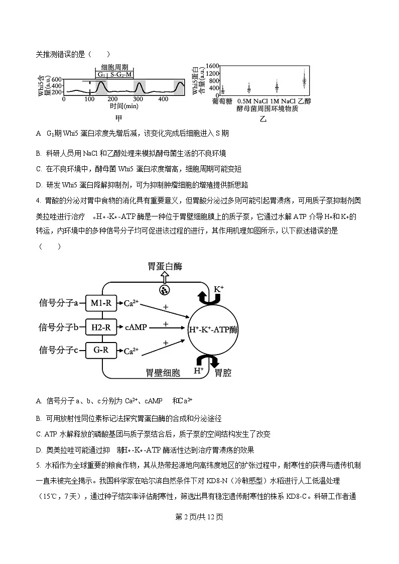 重庆市第八中学2026届高三上学期11月期中生物试题（原卷版）第2页
