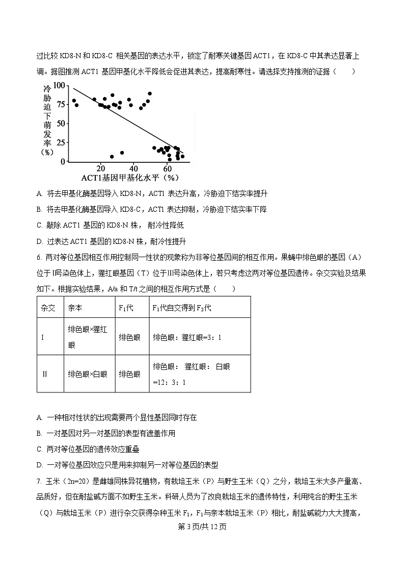重庆市第八中学2026届高三上学期11月期中生物试题（原卷版）第3页