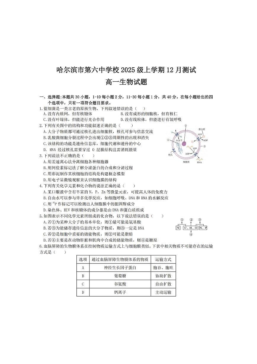 2025年哈尔滨第六中学高一（上）生物12月月考试题及答案第1页