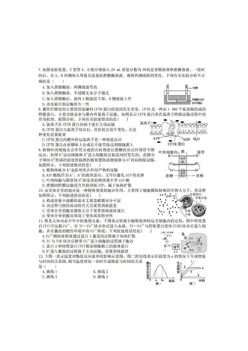 2025年哈尔滨第六中学高一（上）生物12月月考试题及答案第2页